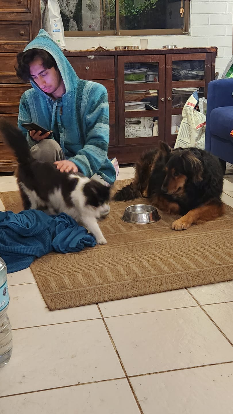 Customer photo review of PetFamily Foods Cachorros