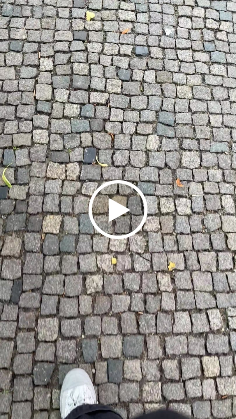 Customer video review of Zapatilla Palladium Palla Ace Re-Quilt Metal Mujer Gris