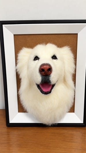Customer photo review of Custom 3D Felted Cat Frame Portrait