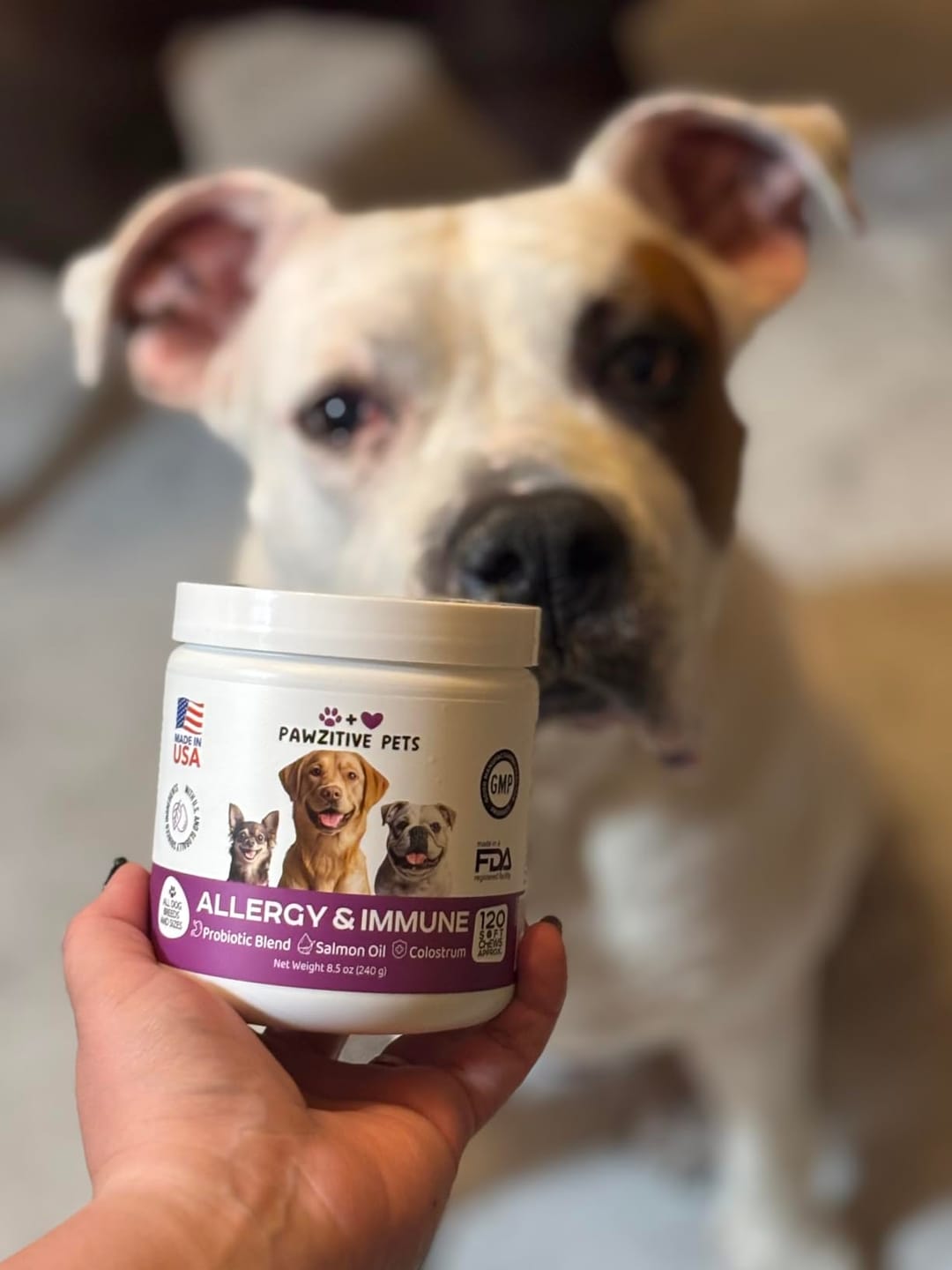 Customer photo review of Dog Allergy Chews for Itchy Skin, Paw Licking & Seasonal Allergies – Immune Support, 120 Soft Chews (Beef Flavor)
