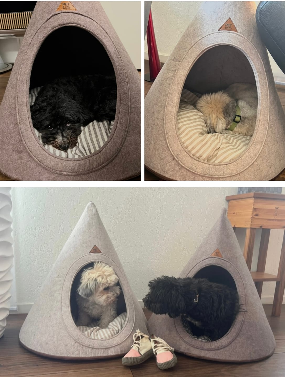Customer photo review of Tonto - Luxury Dog Tipi