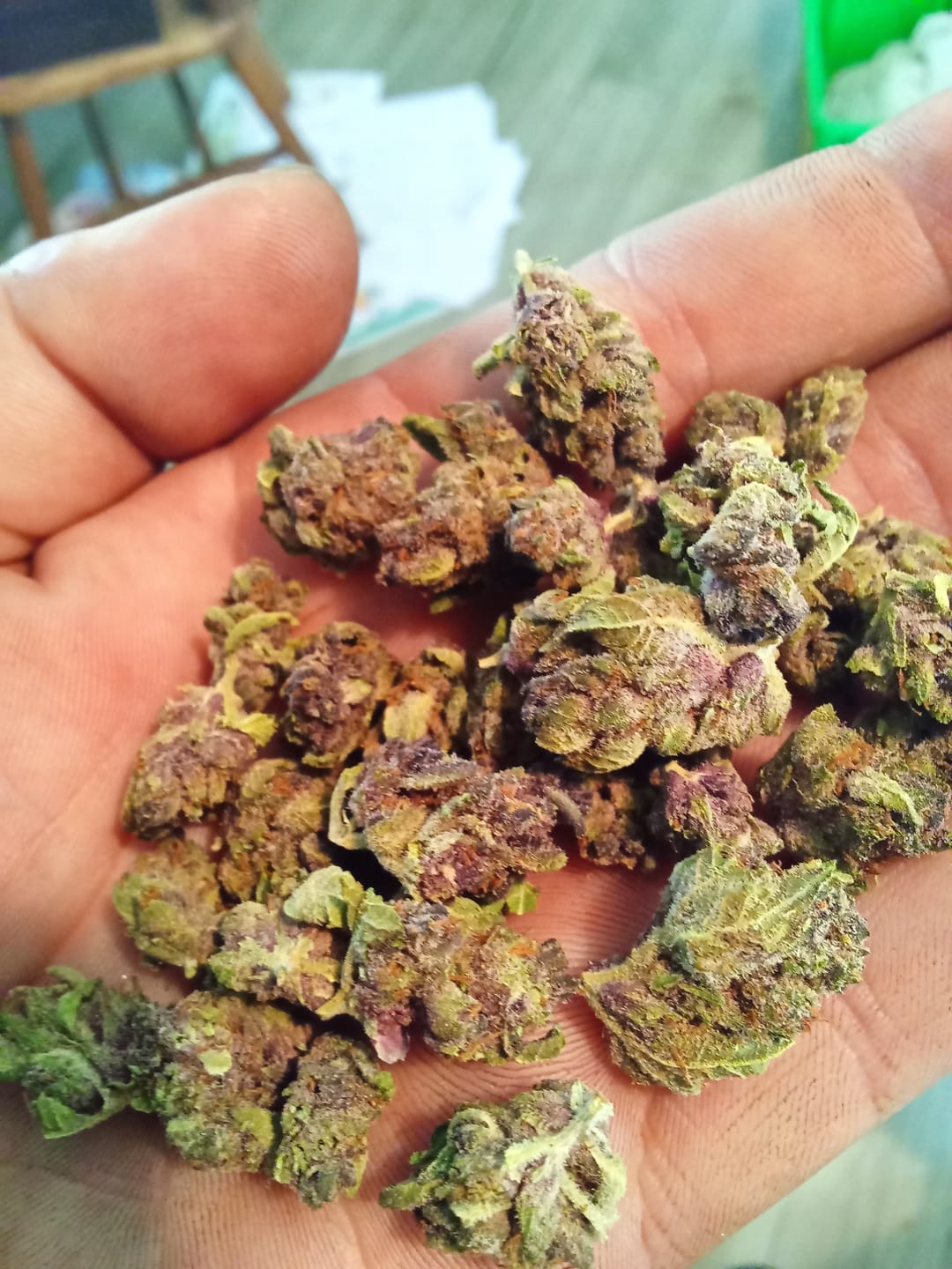 Customer photo review of Granddaddy Purple - Minis - 28 Grams - Indica