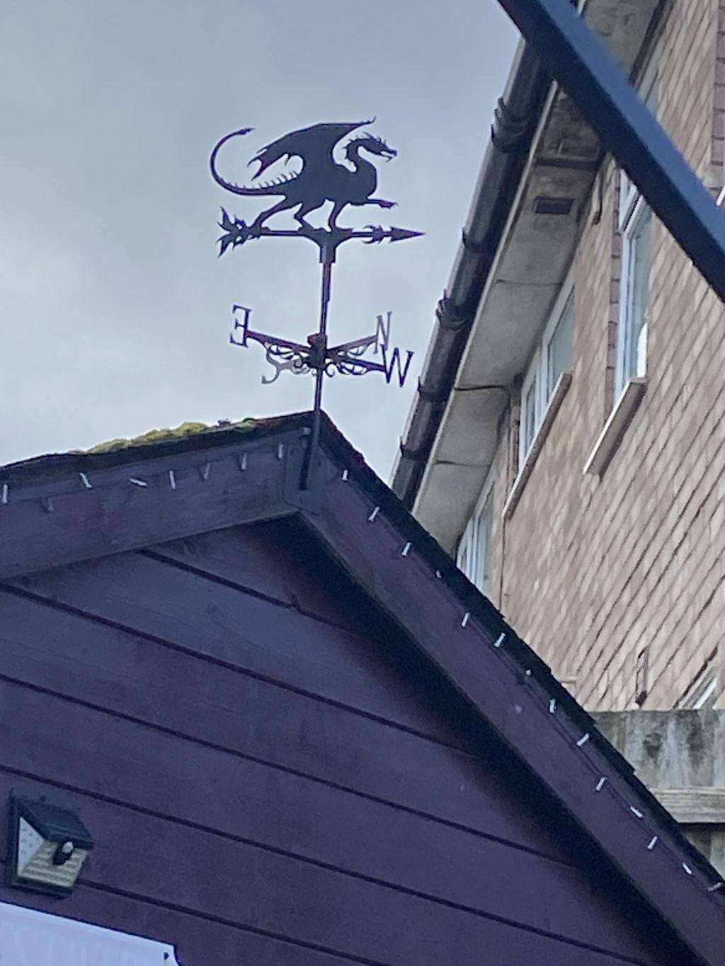 Customer photo review of Weather Vane - Flying Dragon