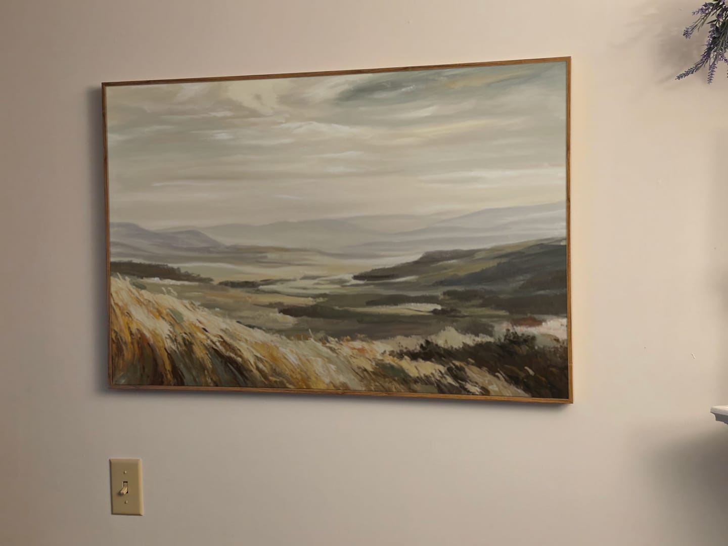 Customer photo review of Minimalist Mountain Texture Canvas # MM444