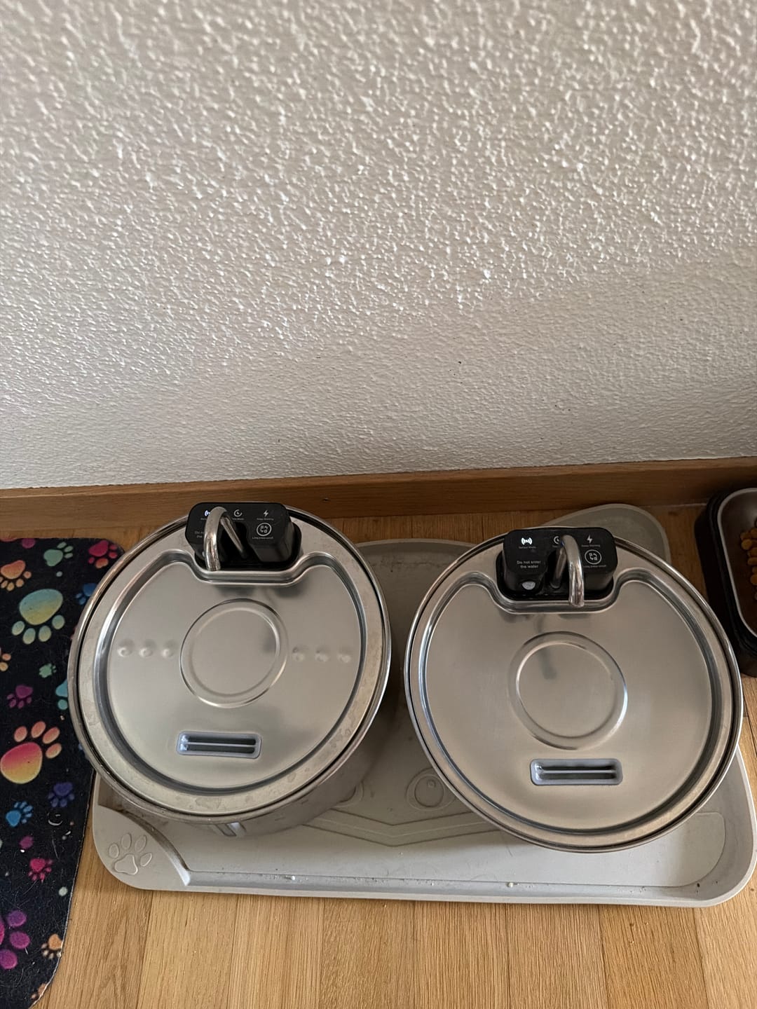Customer photo review of NordFlow 3.0 Katzenbrunnen