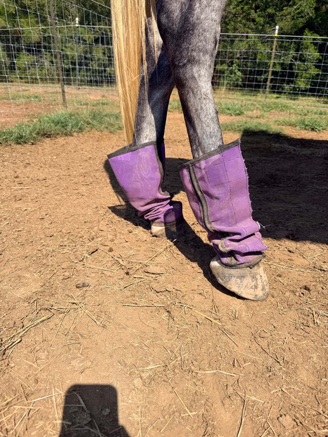 Customer photo review of The FlyBlock Boots