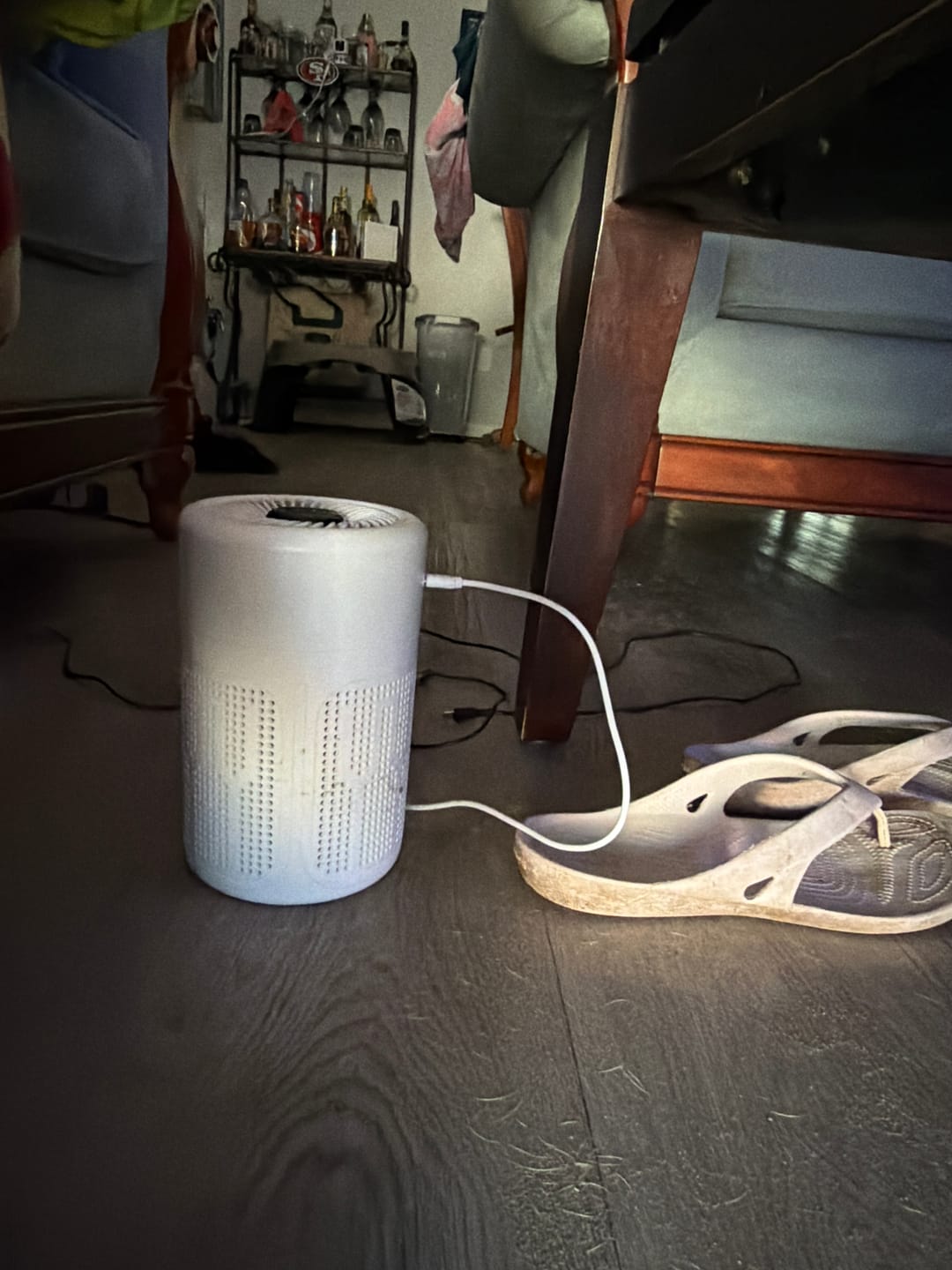 Customer photo review of ⏰🔥50% OFF! 🌬️ Compact Home Air Purifier – Quiet, Energy-Efficient & Perfect for Allergies, Dust & Pet Hair 🏠✨
