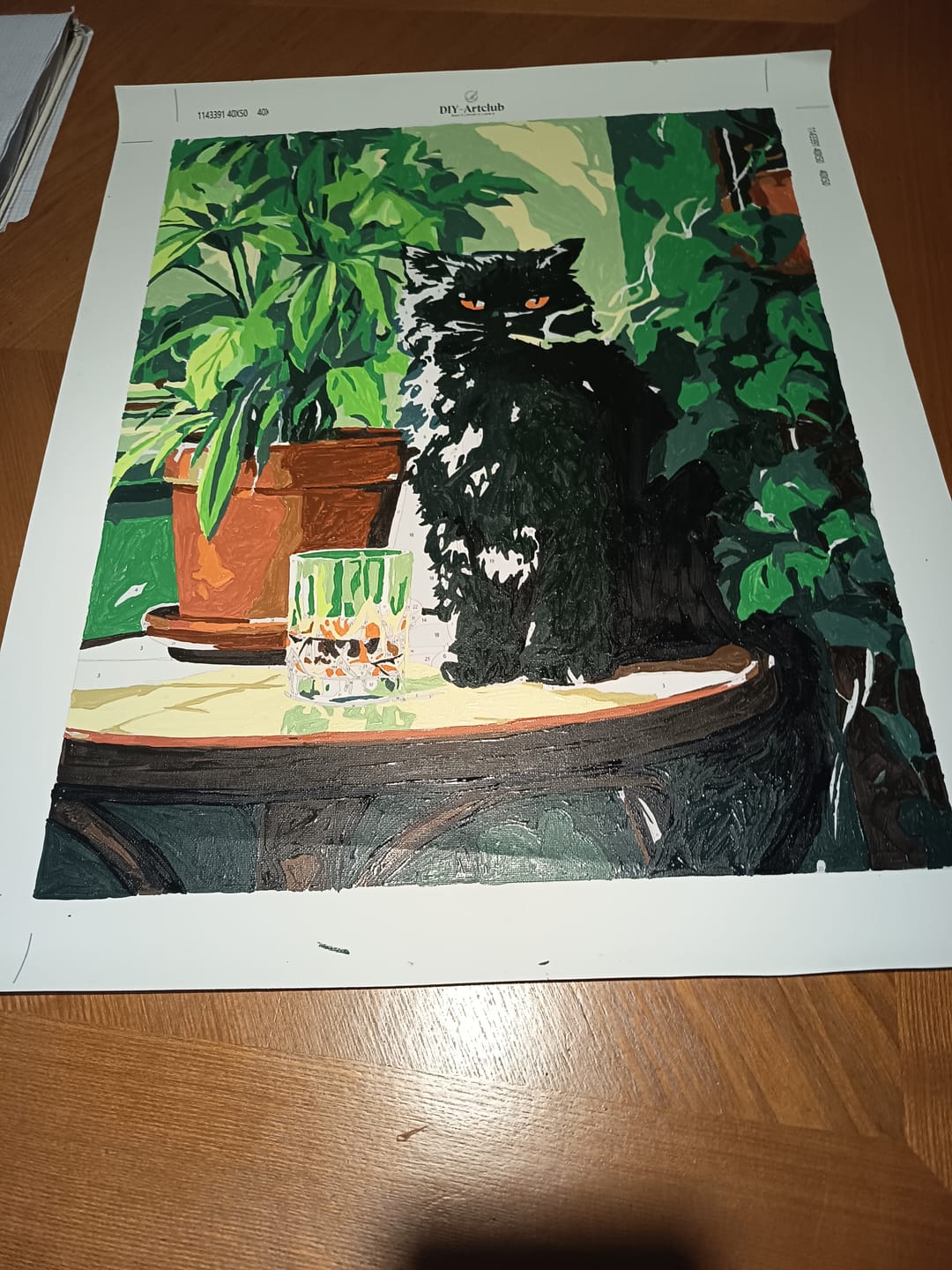 Customer photo review of Grumpy cat | Paint by Number