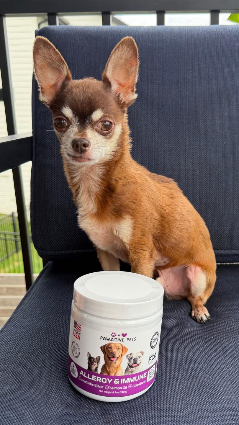 Customer photo review of Dog Allergy Chews for Itchy Skin, Paw Licking & Seasonal Allergies – Immune Support, 120 Soft Chews (Beef Flavor)