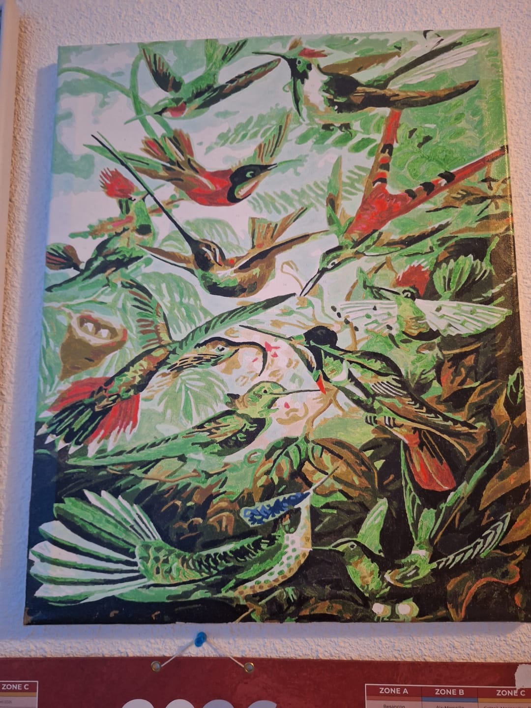 Customer photo review of Tous les oiseaux
