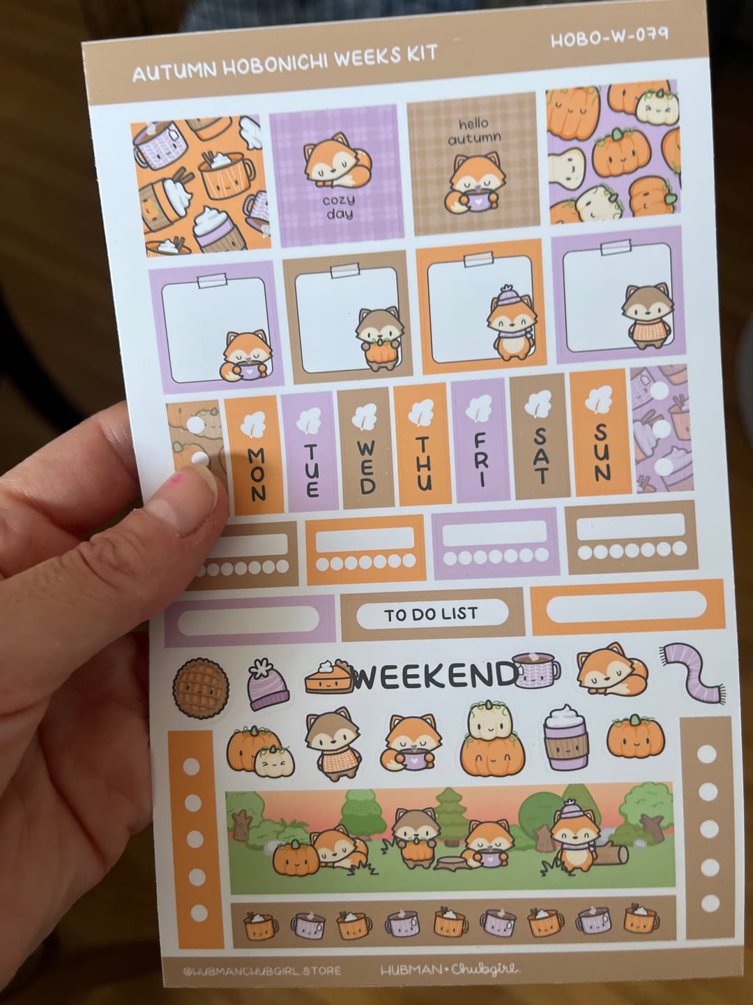 Customer photo review of Autumn Foxes Theme Hobonichi Weeks Kit