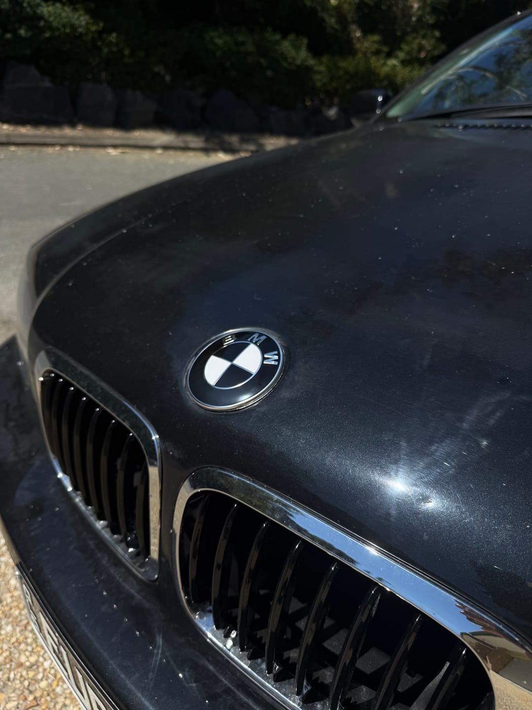 Customer photo review of BMW EMBLEM BADGE - BLACK & WHITE