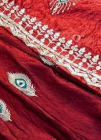 Customer photo review of Wine Red Silk Embroidered Anarkali Gown