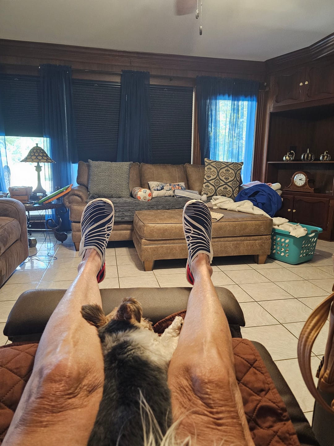 Customer photo review of Solyn-America