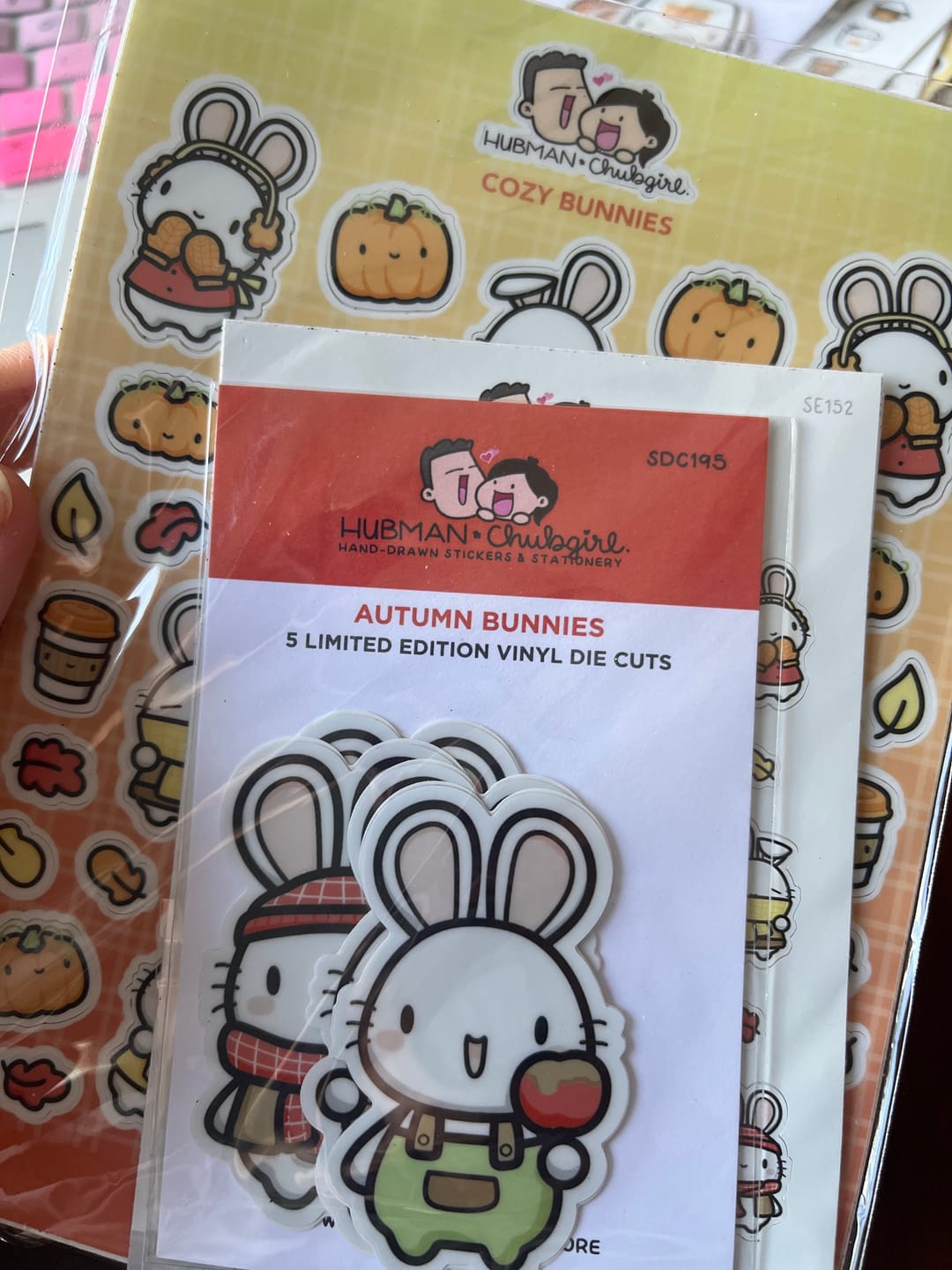 Customer photo review of Autumn Bunnies Sticker Set