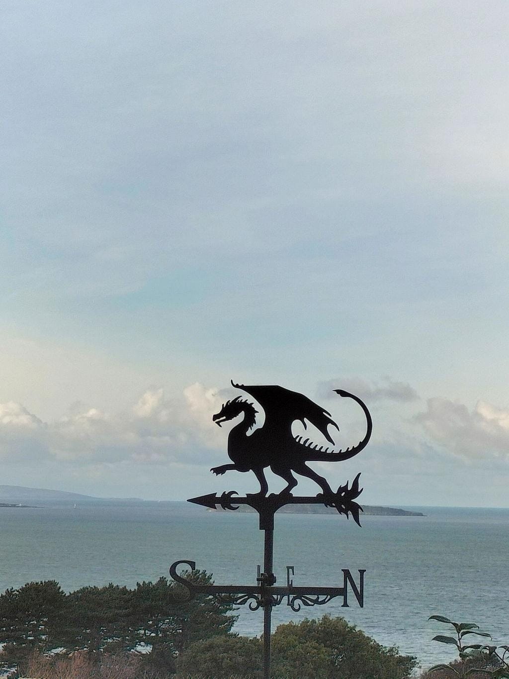 Customer photo review of Weather Vane - Flying Dragon