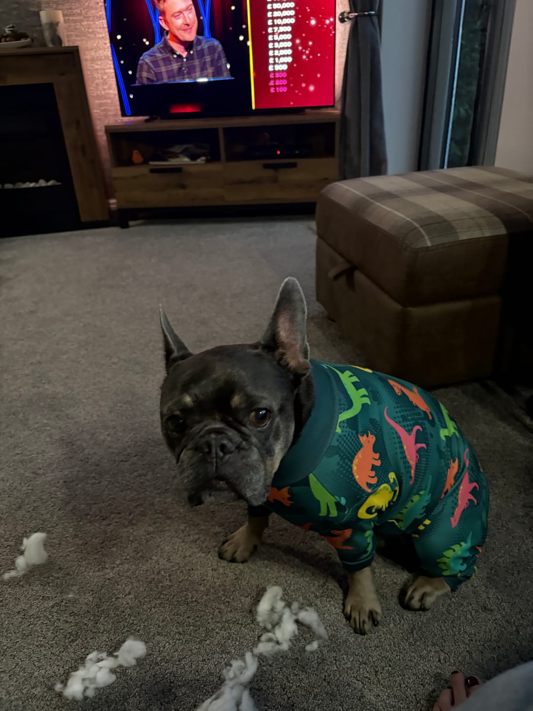 Customer photo review of Dog Pajama - Dinosaurs