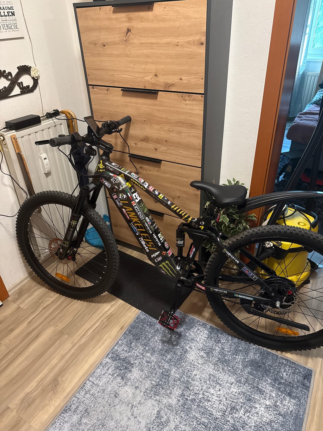 Customer photo review of LANKELEISI RX600PRO