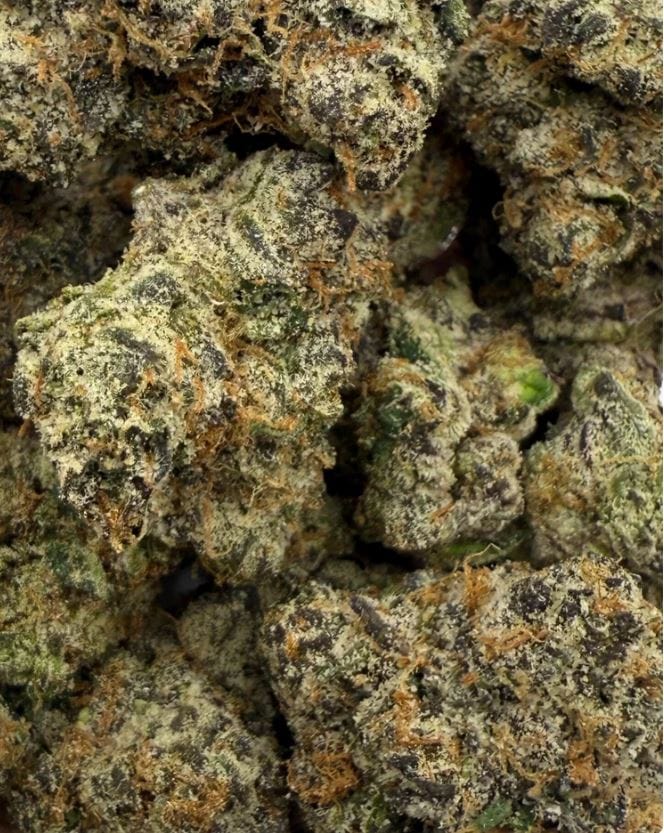 Customer photo review of Black Cherry OG