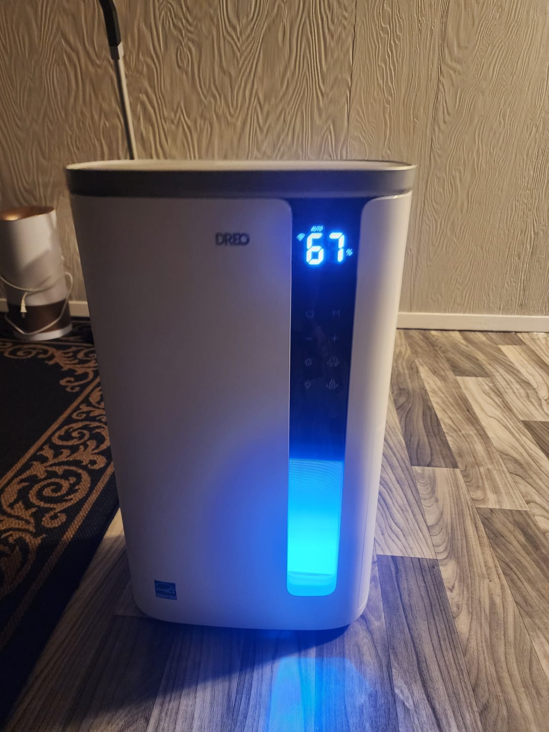 Customer photo review of Dehumidifier 733S