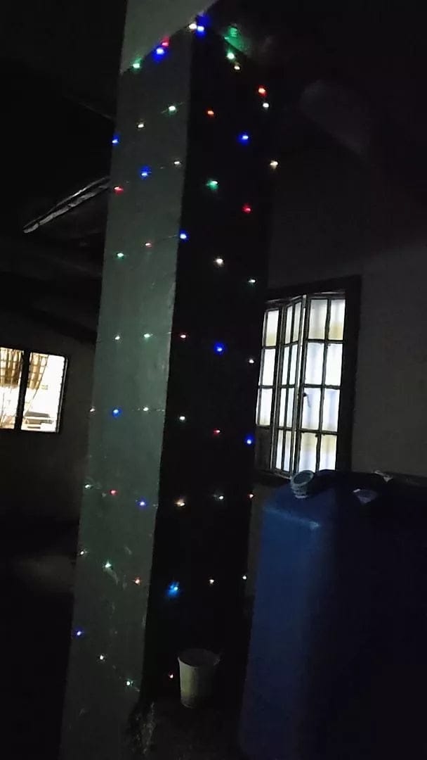Customer photo review of StarryNight™ Solar Christmas Fairy Lights