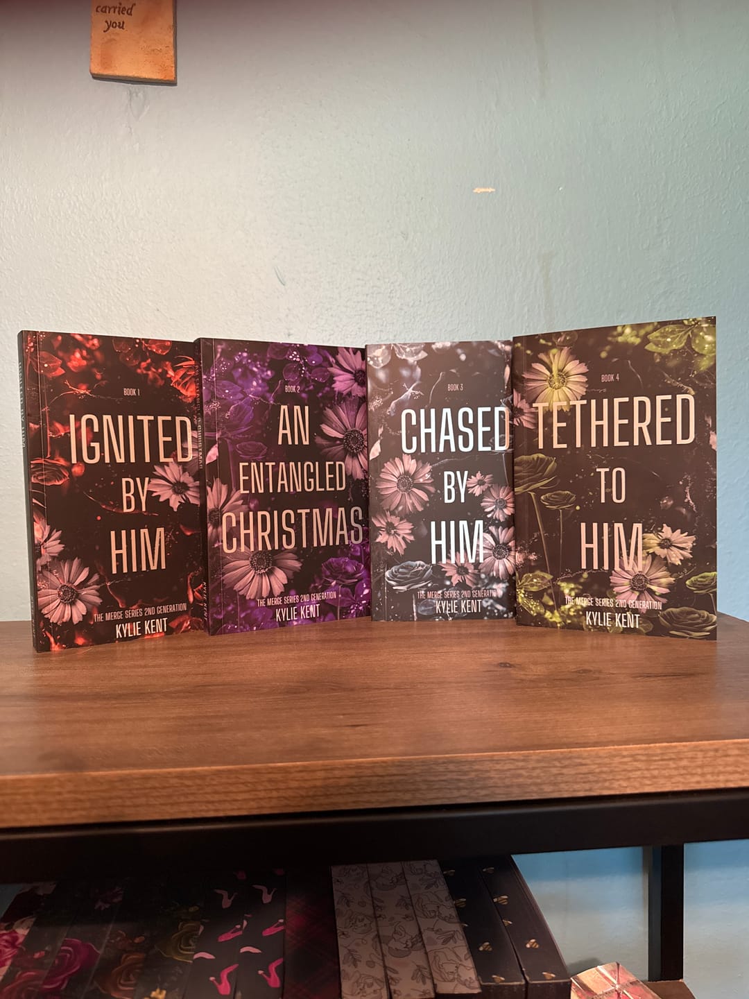Customer photo review of Merged 2nd Gen Series Bundle