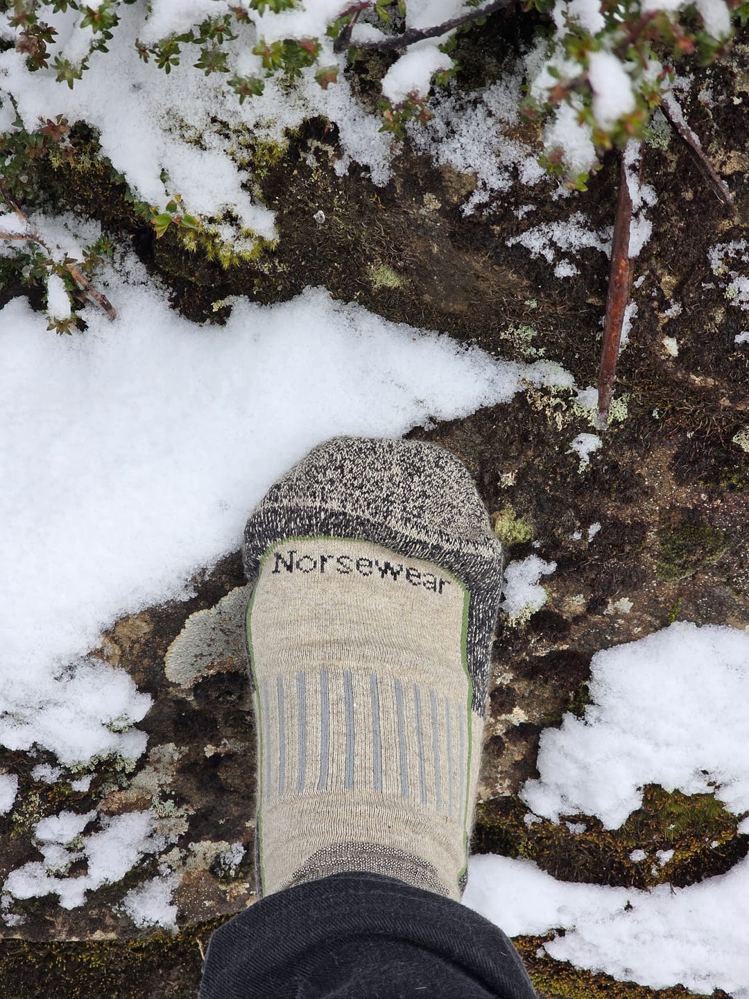 Customer photo review of Norsewear - Possum Hiker Socks