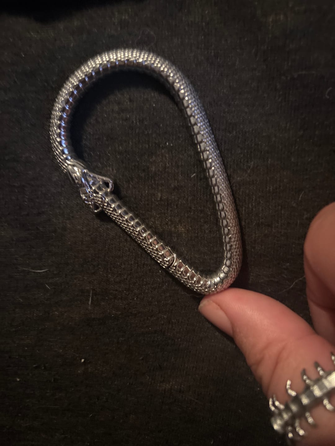 Customer photo review of OUROBOROS CARABINER