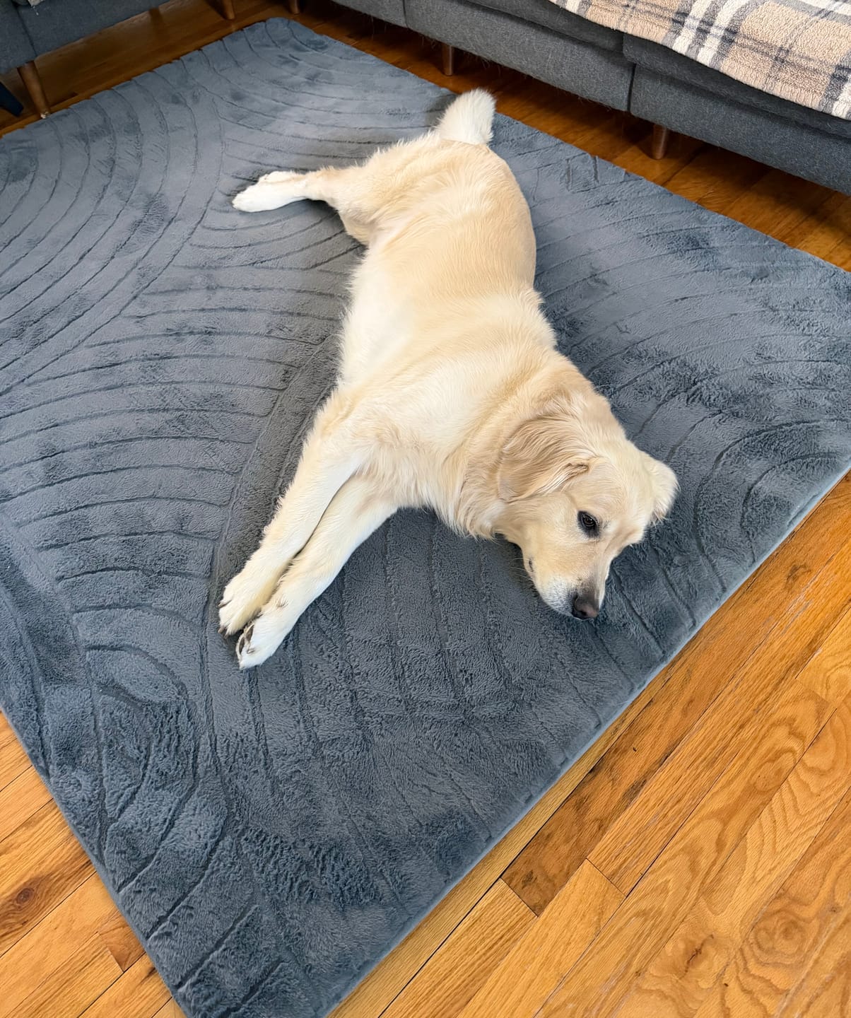 Customer photo review of Relax Mat - 1.4" Thick Soft Foam Play Mat