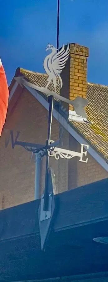 Customer photo review of Weather Vane - Liver Bird