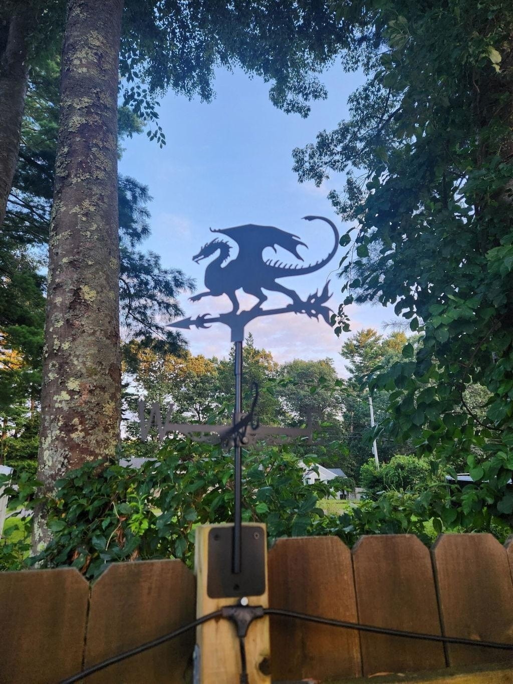Customer photo review of Weather Vane - Flying Witch