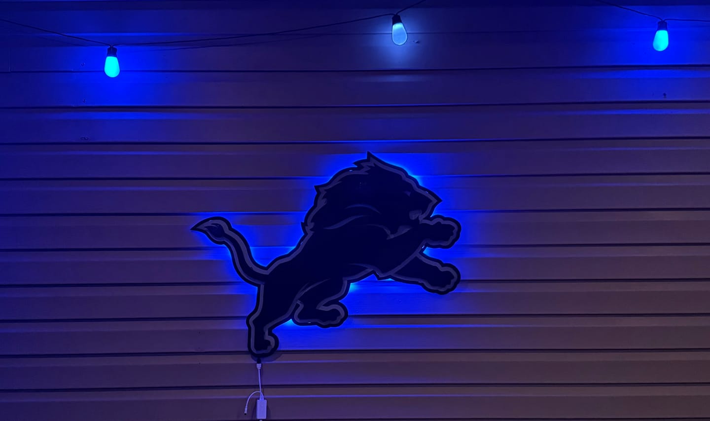 Customer photo review of MONOCHROME - Detroit Lions 3D Vintage Metal Wall Art