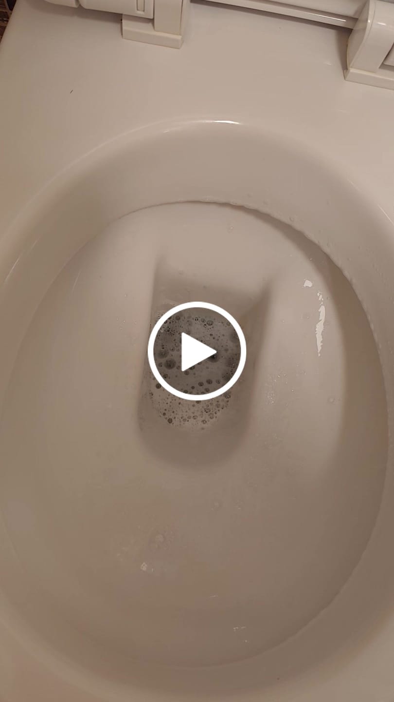 Customer video review of דפי ניקוי לאסלה