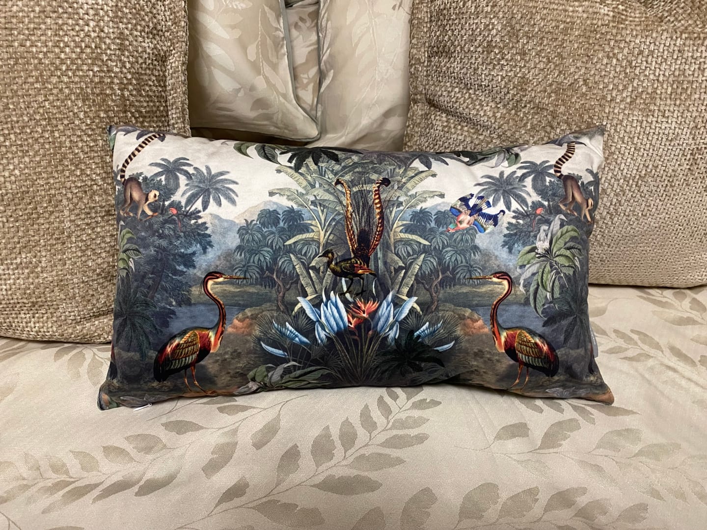 Customer photo review of Kilimanjaro | Sustainable Velvet Rectangle Cushion