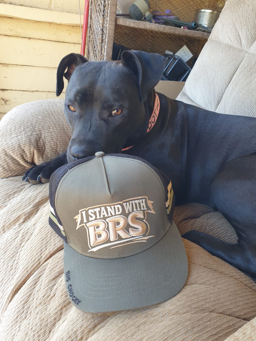 Customer photo review of Big Chocky | Stand With BRS Trucker Cap