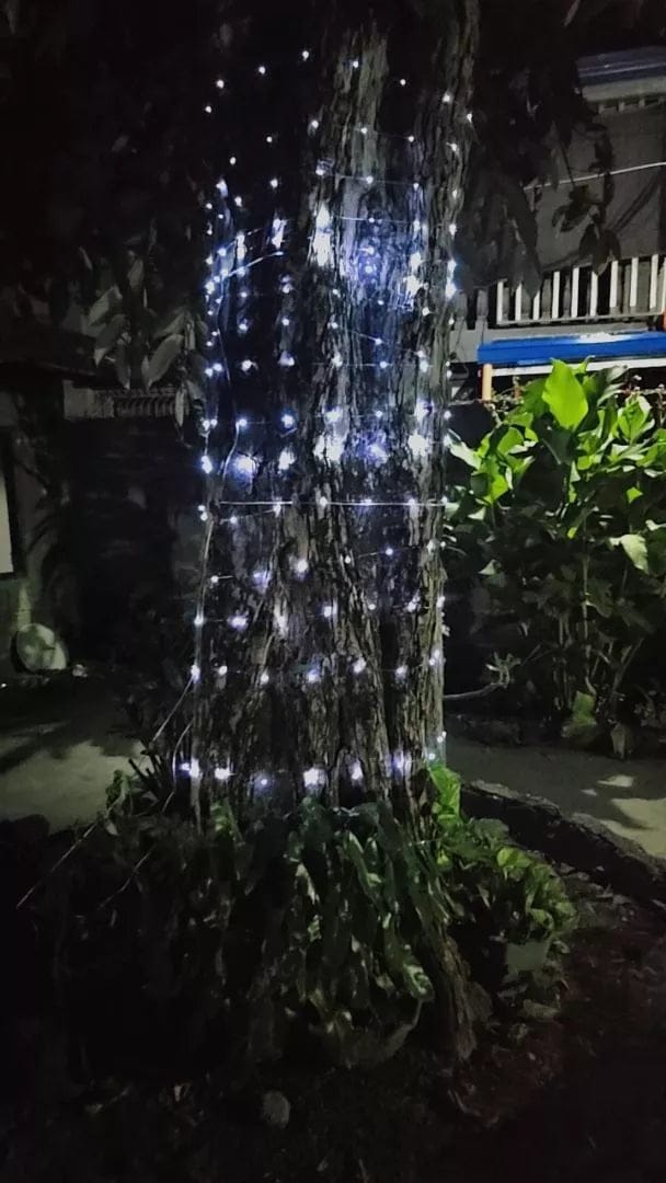 Customer photo review of StarryNight™ Solar Christmas Fairy Lights