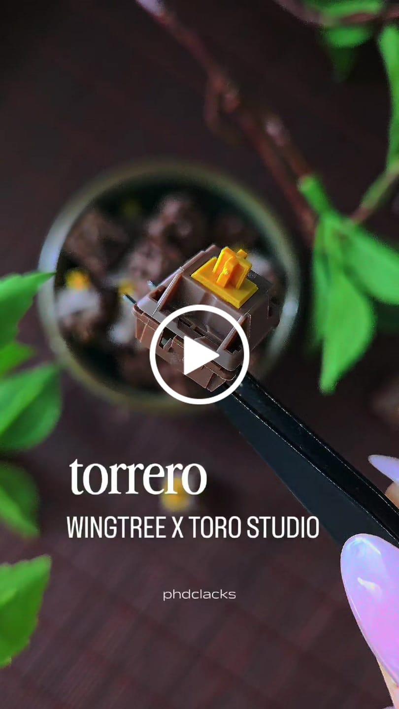 Customer video review of WINGTREE Torrero Light Tactile Switch Factory Lubed (10PCS)