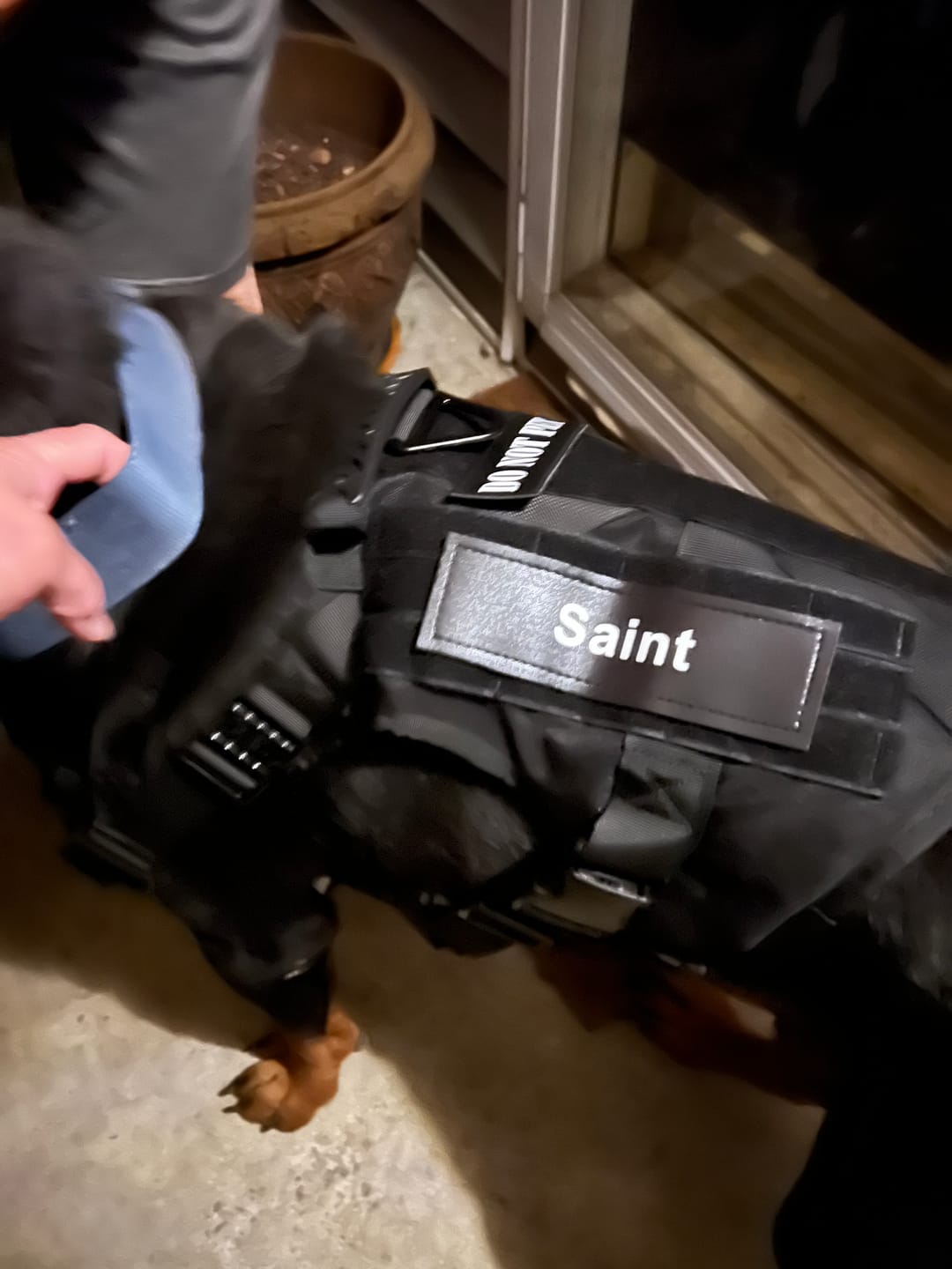 Customer photo review of Classic Heavy-Duty Tactical No-Pull Team K9® Dog Harness With Front & Back D-Rings, Quick-Release Metal-Buckles, Hook & Loop Panels, & Top Handle