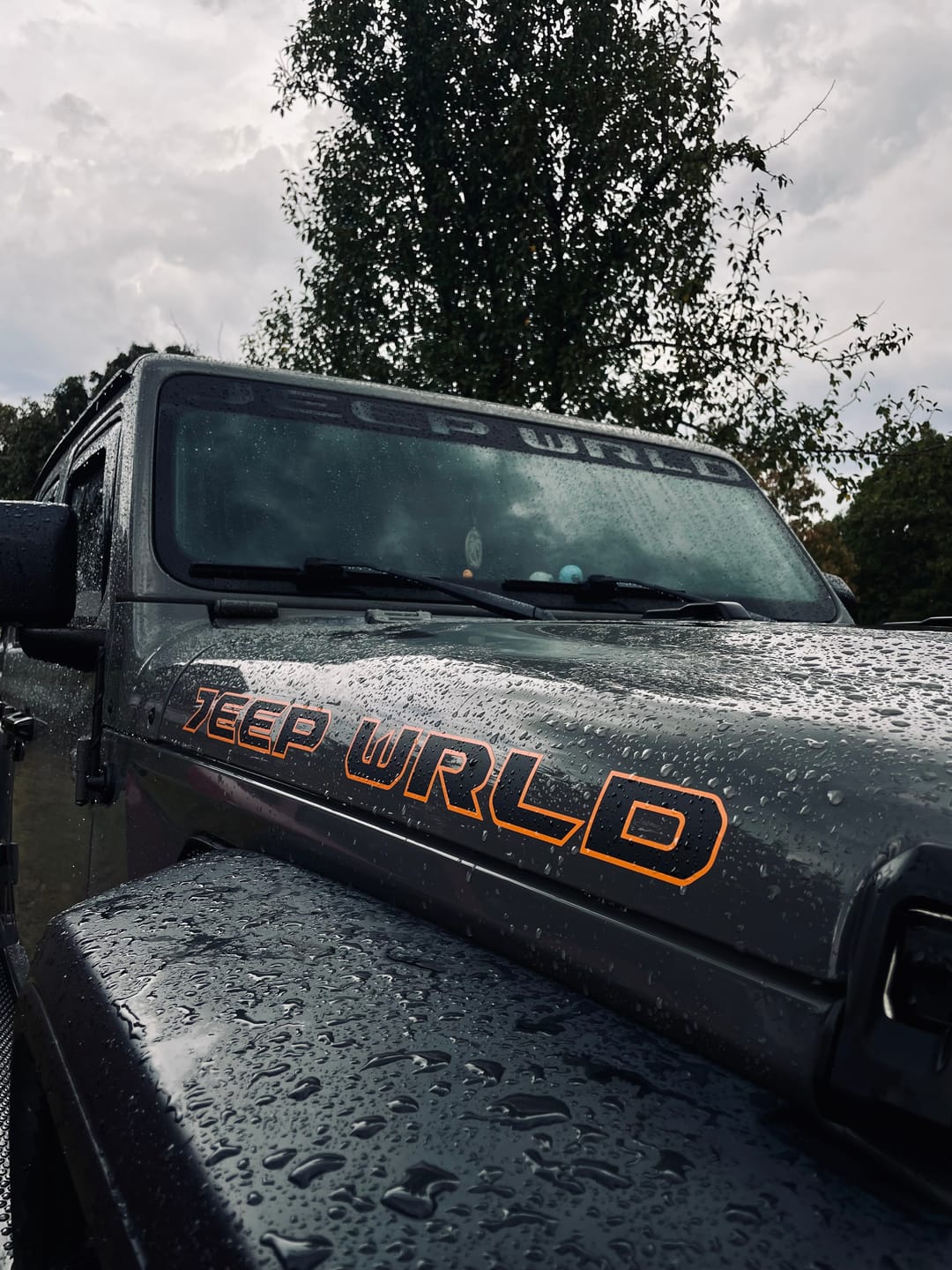 Customer photo review of Premium Hood Lettering | Set of 2