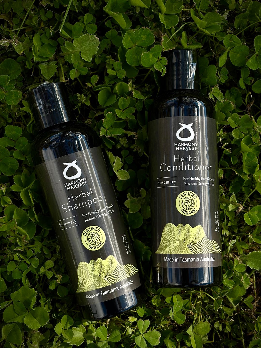 Customer photo review of Shampoo and Conditioner Rosemary