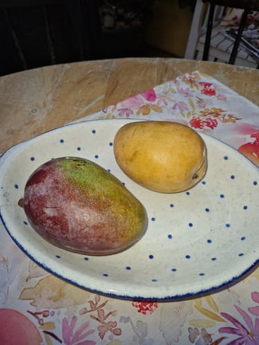 Kundenbewertung mit Foto zu Baby Zuckermango Ataulfo Bio von Julian