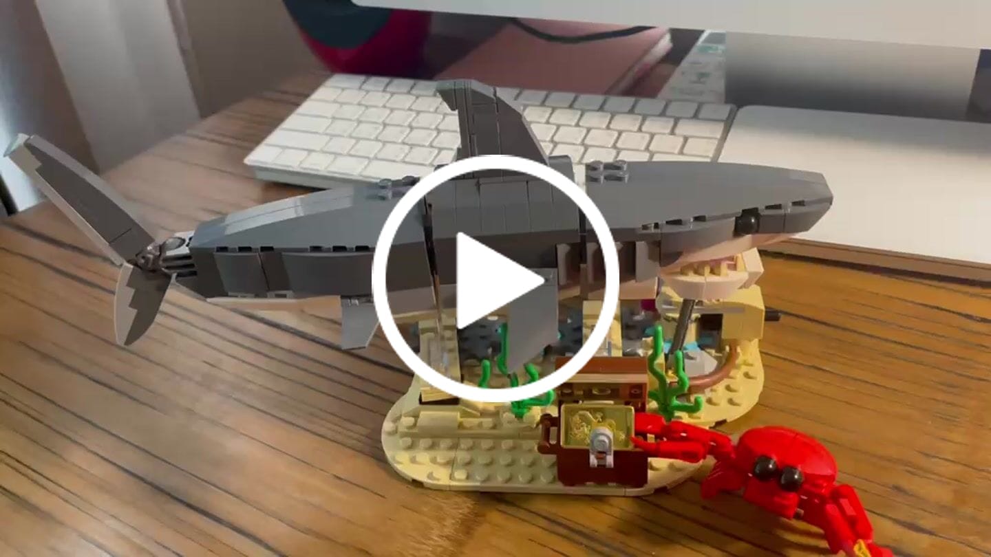 Customer video review of Swimming Fierce Shark