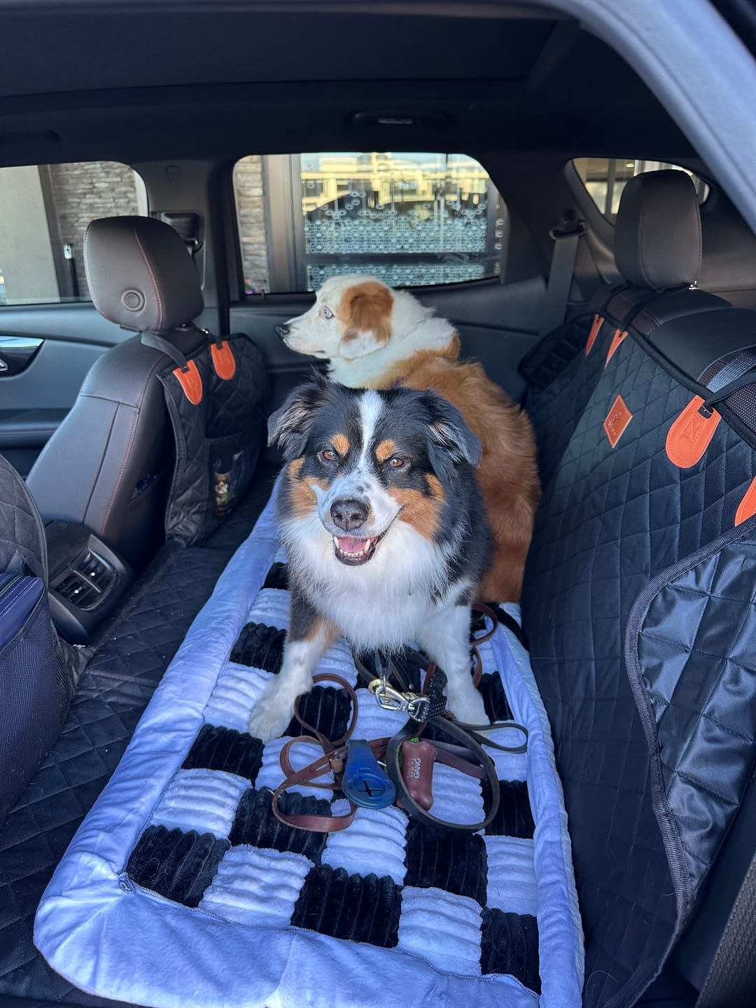 Customer photo review of Cozy Cushion™