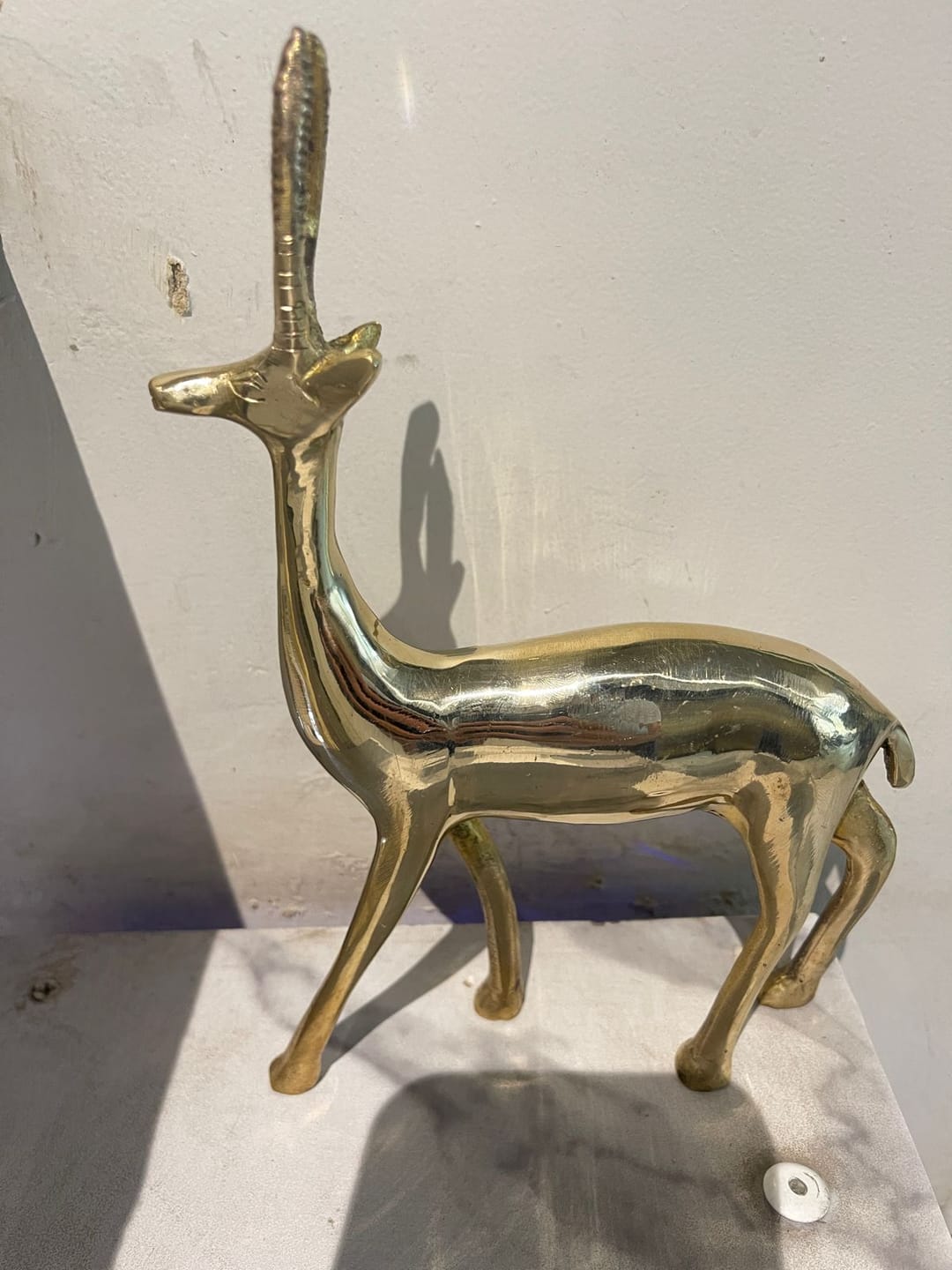 Customer photo review of Handcrafted Brass Deer Idol Vastu Remedy for Stability, Stamina and Energy Balance for WNW Zone, Home and Office Placement | 12 x 22 cm | 820 gm
