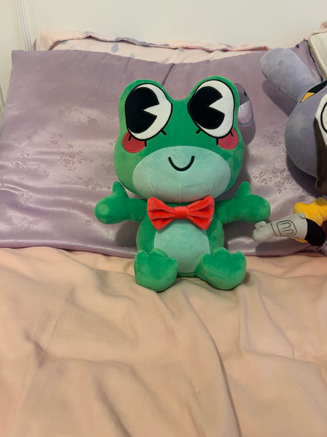 Customer photo review of Ribbit Plush