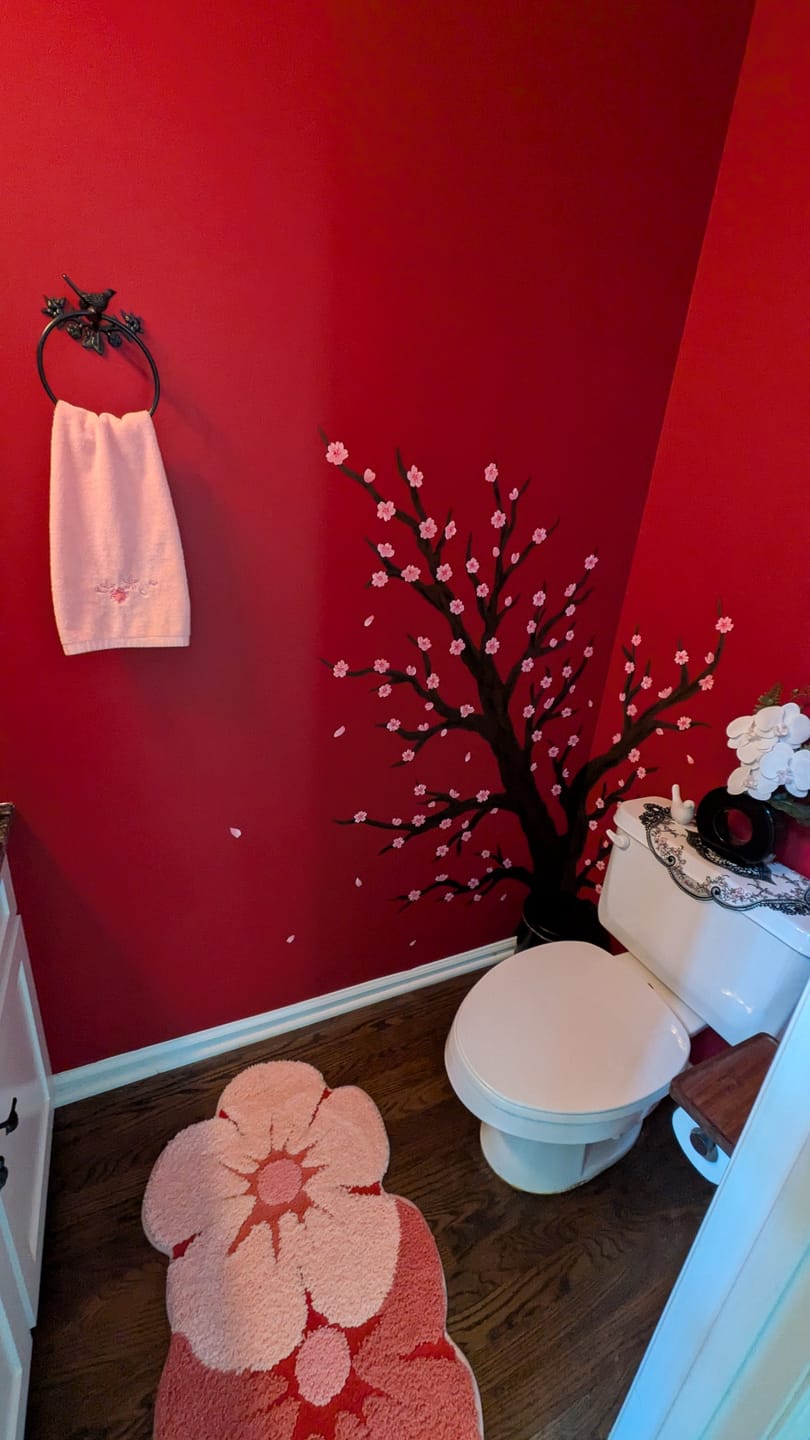 Customer photo review of Black Brass Bird Towel Ring Holder