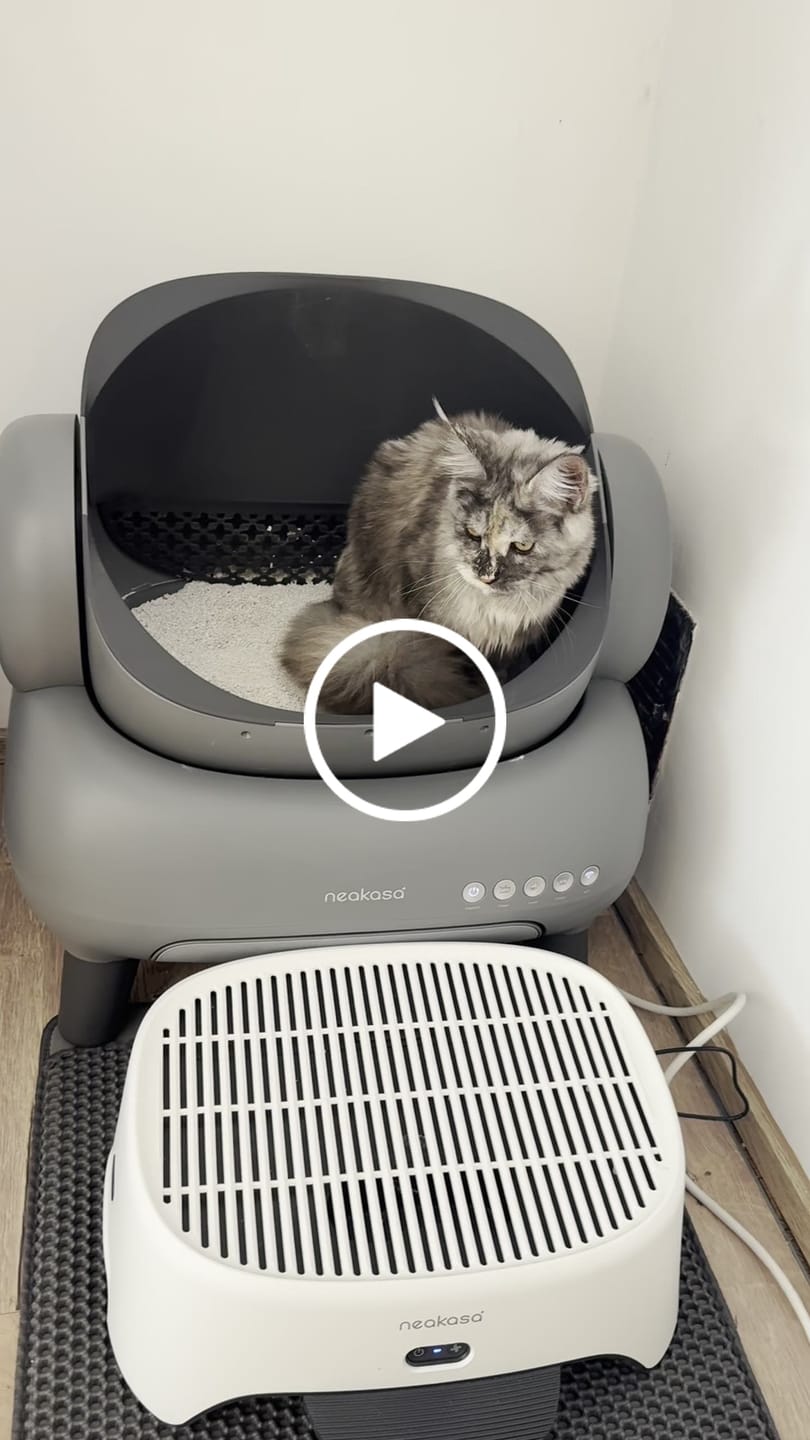 Customer video review of Neakasa M1 Plus Selbstreinigende Katzentoilette mit offenem Design