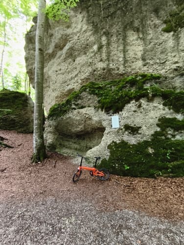 Customer photo review of Tezeus Swift