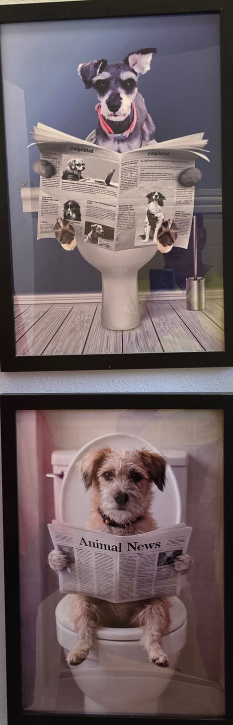 Customer photo review of Bathroom - Personalized Poster