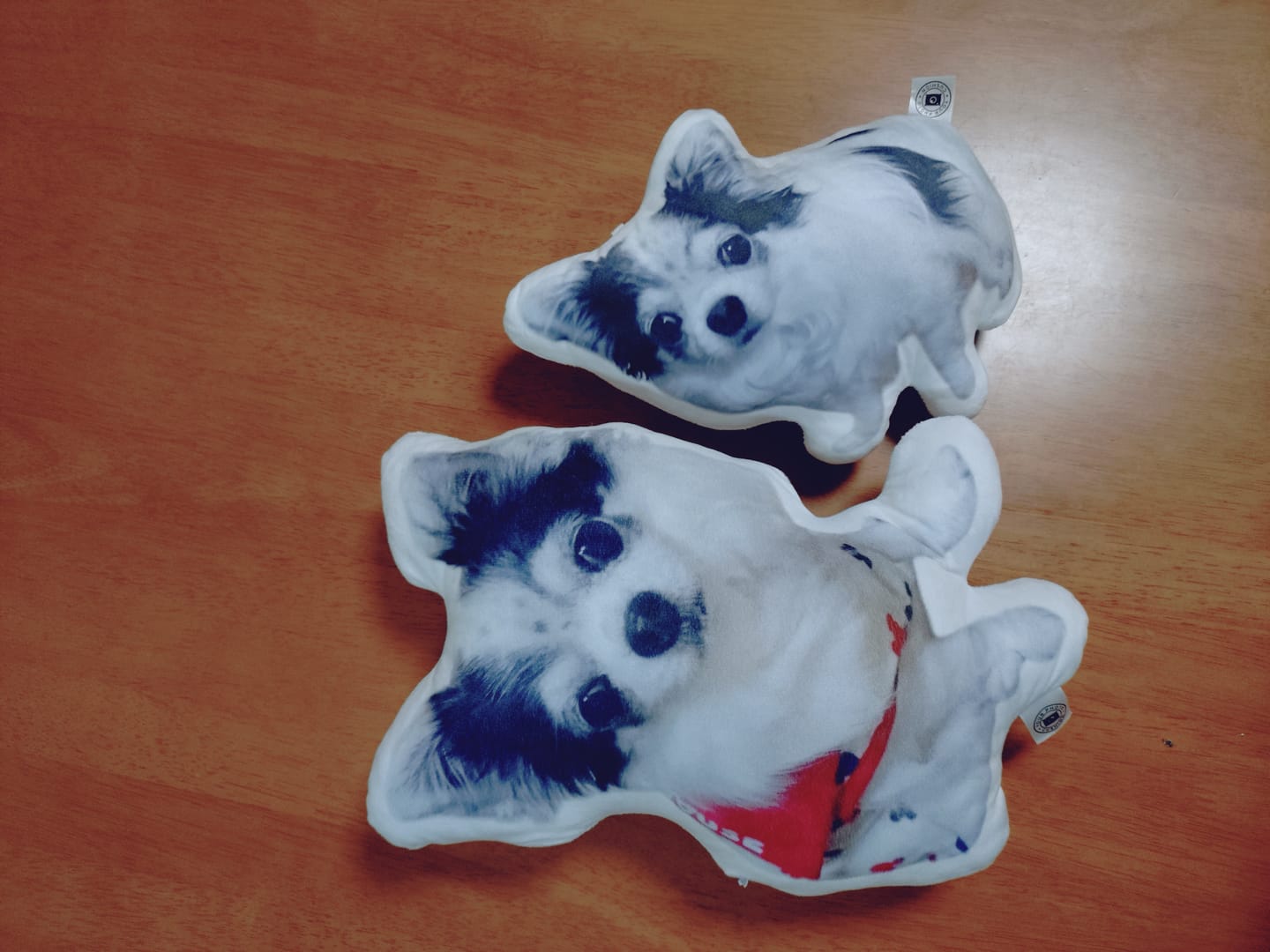 Customer photo review of 世界にひとつだけ♪好きな写真で作るオーダーメイドクッション（20～80cm）